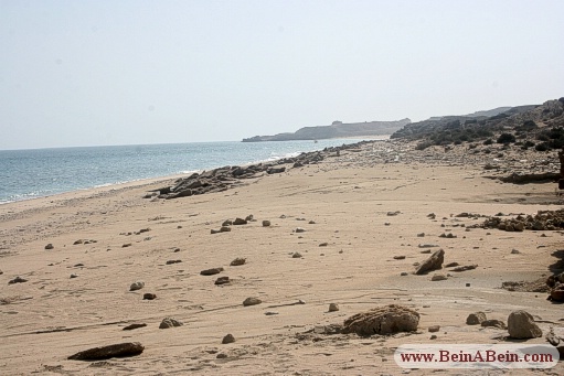 سواحل جزیره هنگام - محمد گائینی