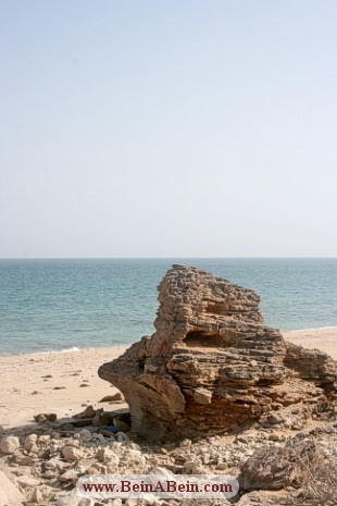جزیره هنگام - محمد گائینی