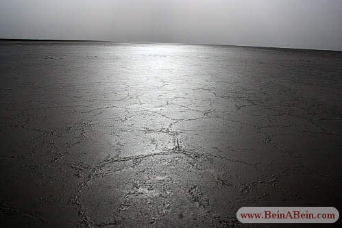 دریاچه حوض سلطان قم - محمد گائینی