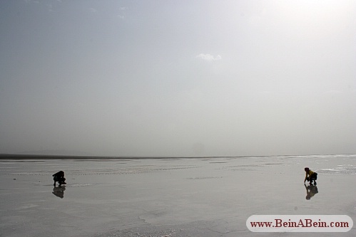 دریاچه حوض سلطان قم - محمد گائینی