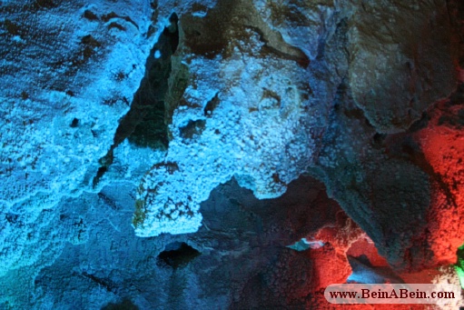کرگدن در غار نخجیر دلیجان - محمد گائینی