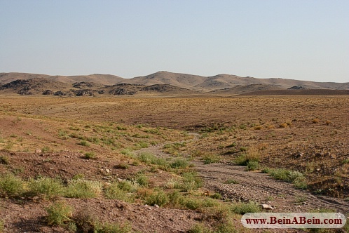 منطقه حفاظت شده باشگل - محمد گائینی