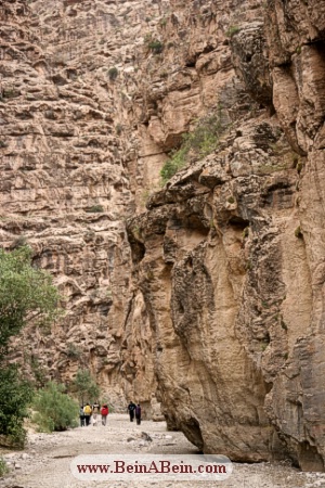 دره شمخال - محمد گائینی