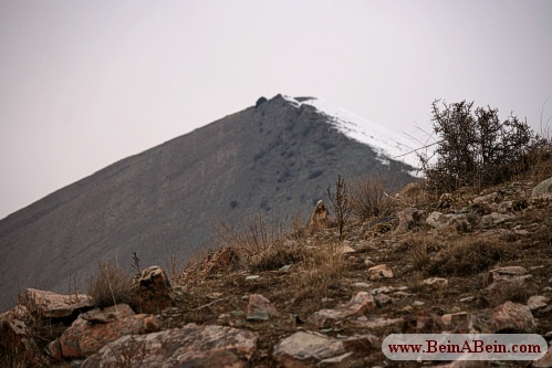 قله ورجین - محمد گائینی