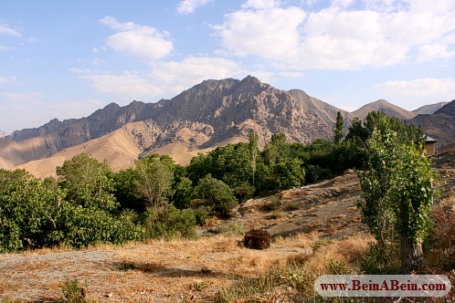 کوهستان البرز - محمد گائینی