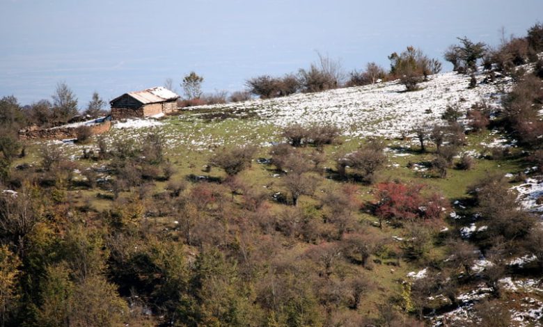 باربری تهران به آمل